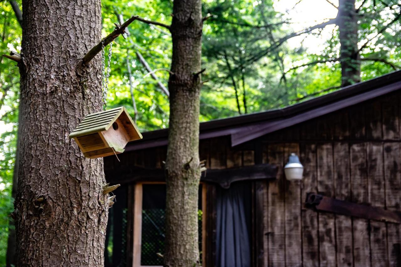Avenwood Cabins Logan Luaran gambar